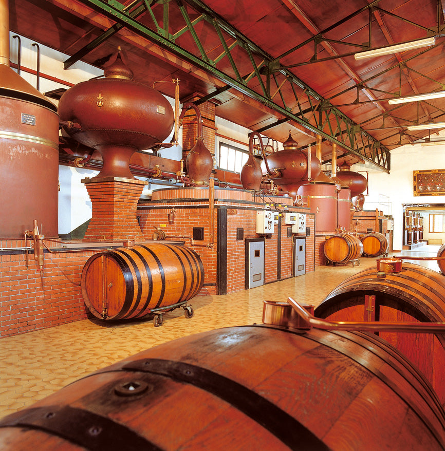 Cognac