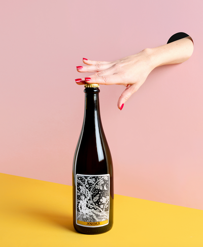 Domaine Frederic Mabileau, Pet' Nath, BIO, Cuvée "Anima", 2023