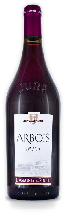 Domaine de la Pinte, Arbois, "Cuvée Pinte Bien", Poulsard, Bio, 2020