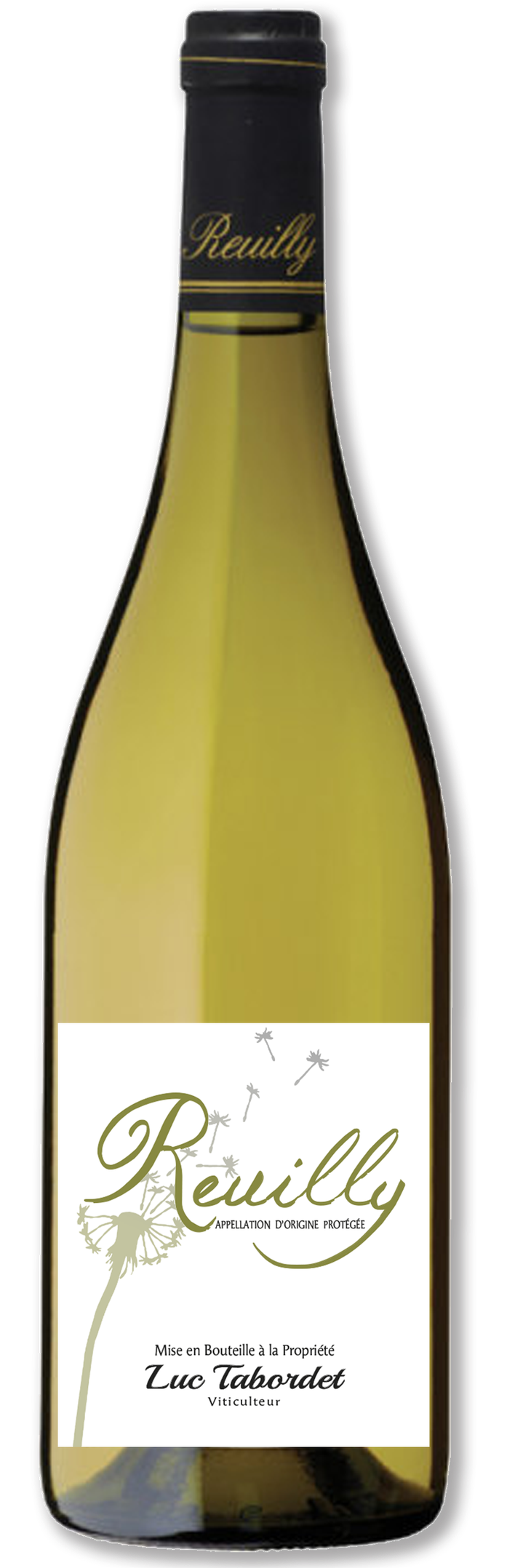Domaine Luc Tabordet, Reuilly, Agriculture Biologique, 2018